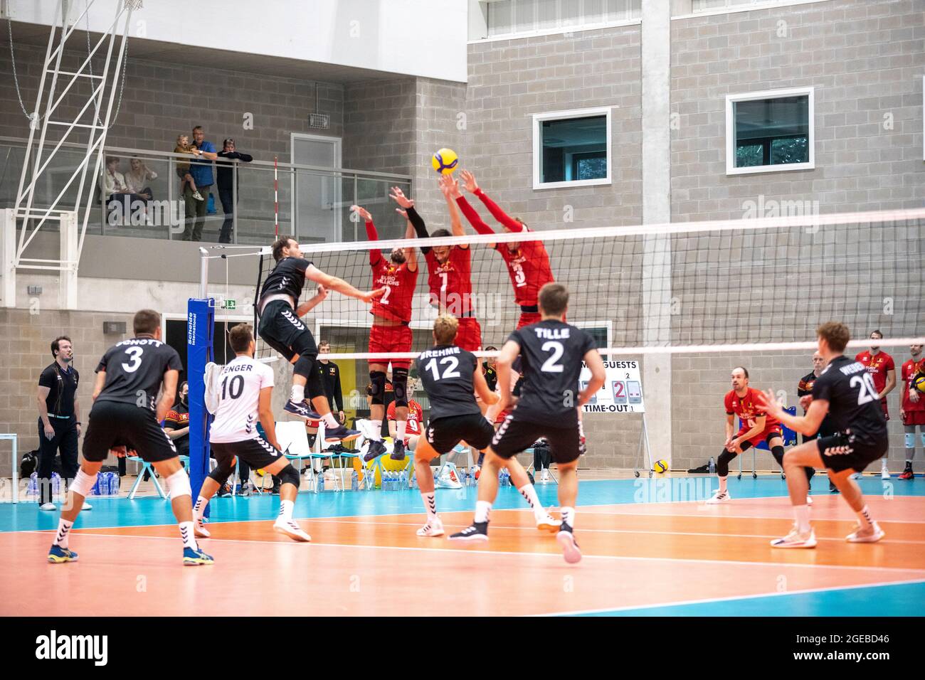 Belgium Men's National Team Gallery 1